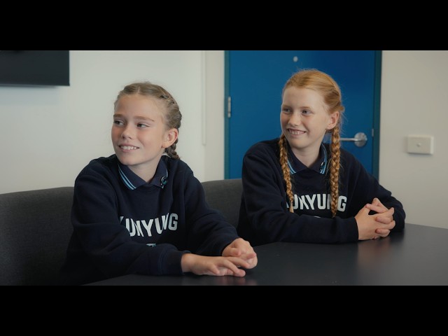 How does the Primary Years Programme foster literacy and numeracy through inquiry?