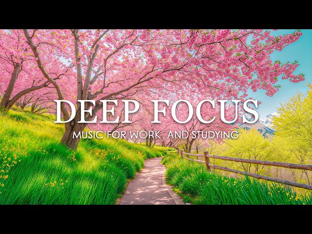 Deep Focus Music for Studying – 12 Hours of Ambient Study Music for Concentration & Productivity