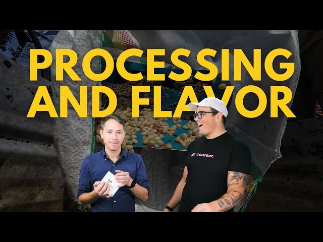 Coferment? Infused? Anaerobic? Processing and Effects on Flavor ft. Christopher Feran
