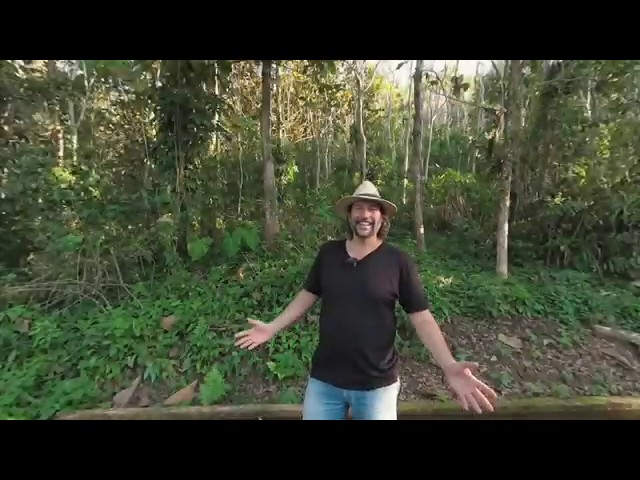 Agroforestry  VR180: Water ~ Life & Energy 2/5