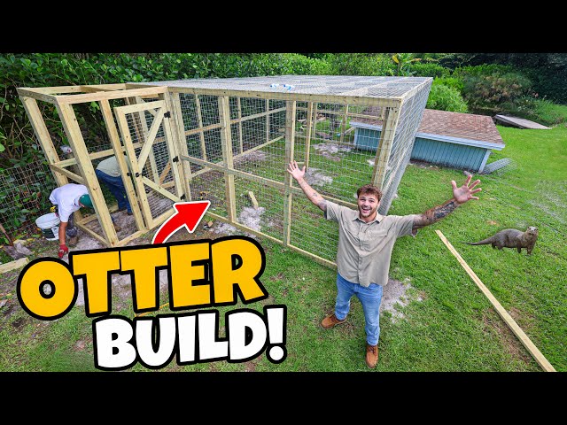Building My DREAM ANIMAL Enclosure!! (OTTER)