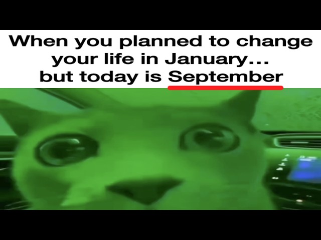 r/memes | brain has stopped responding...