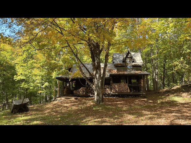 Hunting Prep & Cutting Wood At The Off Grid Cabin!