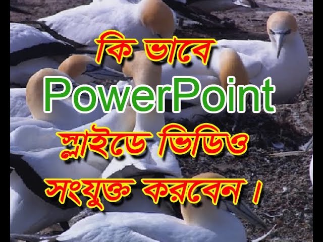 How to Add a Video in Powerpoint Presentation and Save a Media File