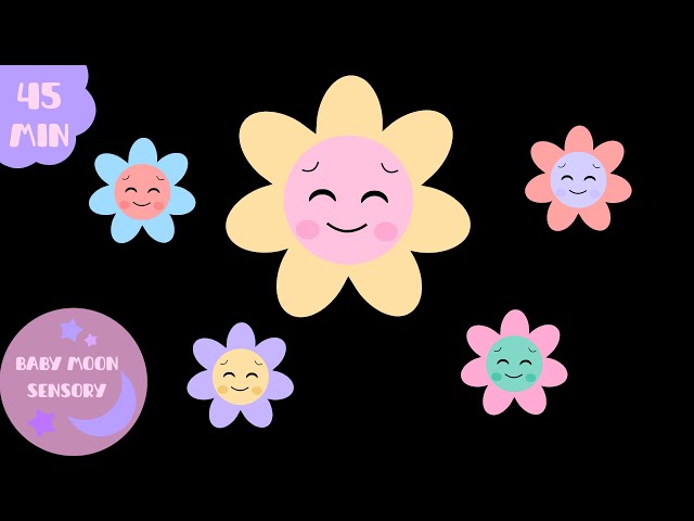 Soft Baby Sensory Video | Pastel Colors High Contrast | Visual Tracking