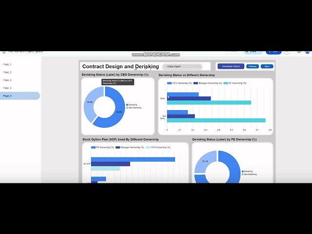 Contractual Design and Governance Mechanisms in Private Equity Buyouts