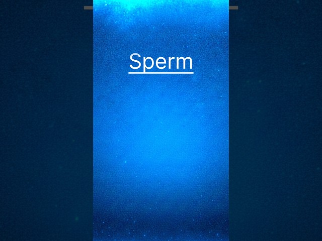 Sperm |Tamil| ✨ #tamil #trending #shorts #trendingshorts #sperm #spermanalysis #spermhealth #facts