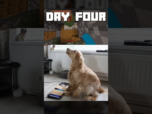Dog Learns Minecraft Faster Than Me!