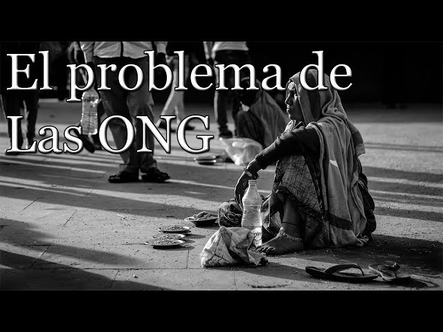 ¿La verdad de las ONG? ¿El problema de las ONG?