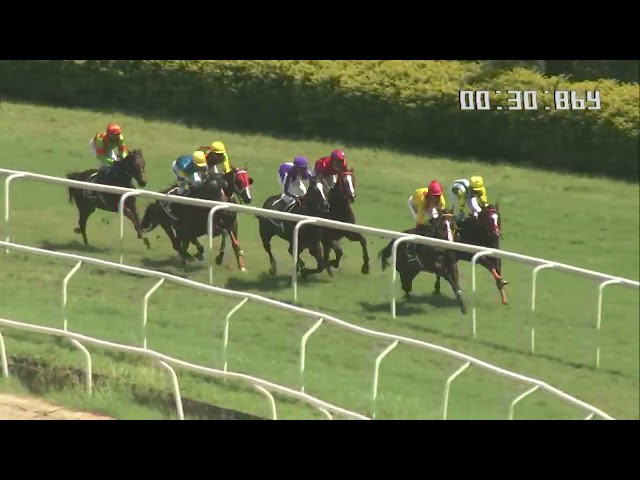 The Atmosphere Plate  wins SCARAMOUCHE