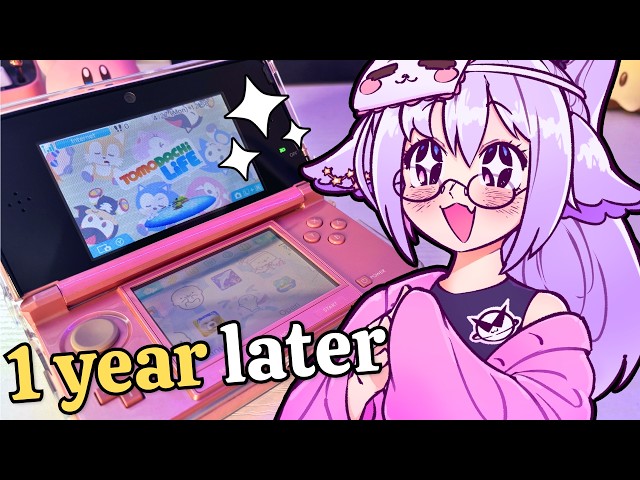 What's On My Modded 3DS? (1 Year Later)
