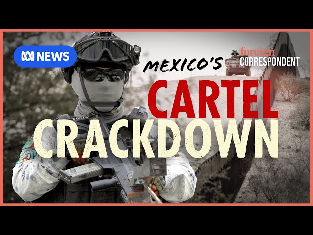 Cartels, Tariffs and Fentanyl, the US-Mexico Border Showdown Investigated | Foreign Correspondent