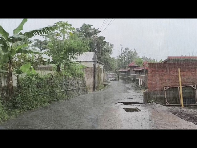 EXTREME WEATHER ⛈️⛈️⚡ MOST INTENSE HEAVY RAIN & WINDSTORM | WALKING IN AN INDONESIAN COUNTRYSIDE ⛈️