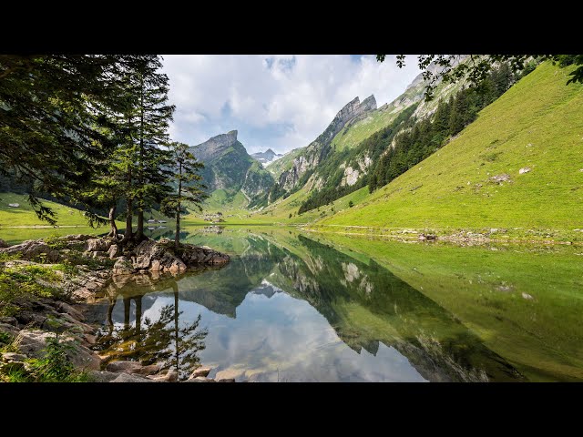 TESTING OUT STREAMING