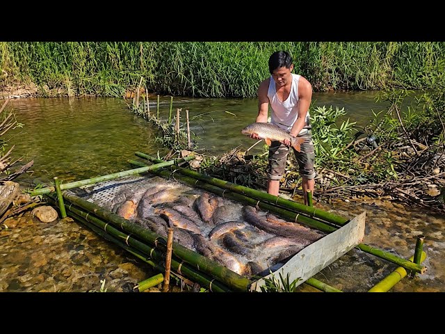 A lucky day for a young CEO harvesting wild stream fish.