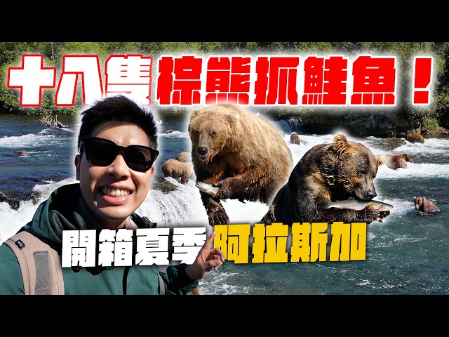 划獨木舟划進超巨大冰川裡！近距離直擊棕熊抓鮭魚！