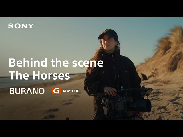 Behind The Scenes of The Horses | A Film by DOP Evgenia Alexandrova, AFC