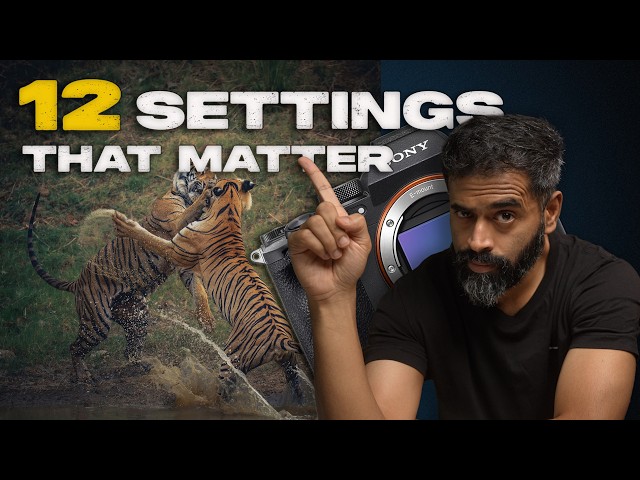 How I Set Up My Camera for Wildlife Photography