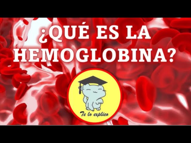 WHAT IS HEMOGLOBIN?