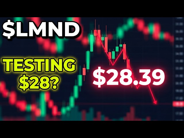 $LMND: Can the Momentum be Sustained? Any Danger of Testing $28?