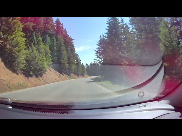 20250727 113523 000062 #olympicnationalpark #seattle