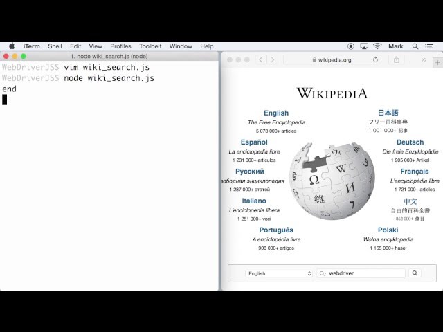 How does WebDriverJS work? — Selenium WebDriver for Node.js
