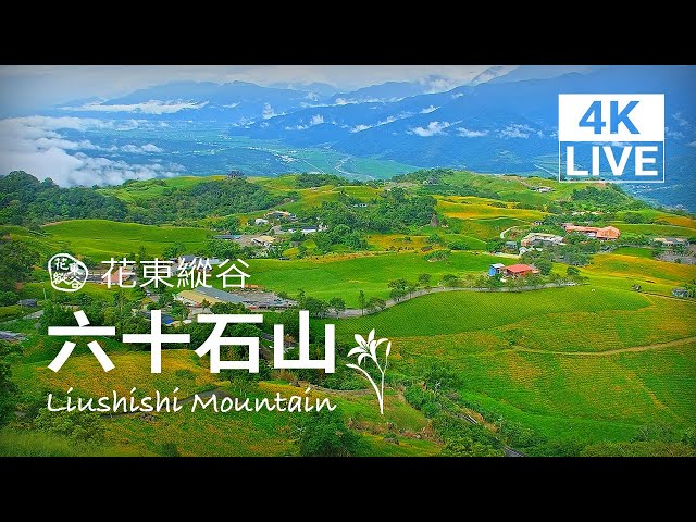 【4K Live】六十石山 - 花東縱谷即時影像｜Hualien Liushishi Mountain｜4K Live Camera