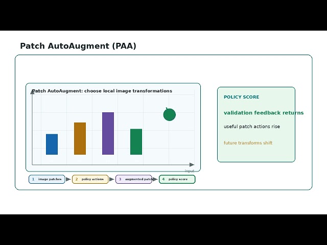 Patch AutoAugment (PAA) Algorithm