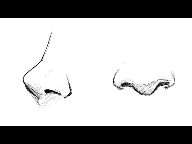 How to draw noses (for beginners)