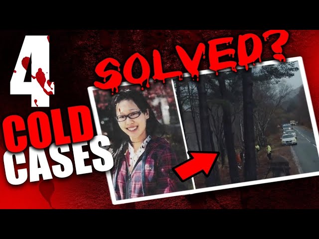 Cold Cases That Were Solved Recently | True Crime Documentary | Compilation
