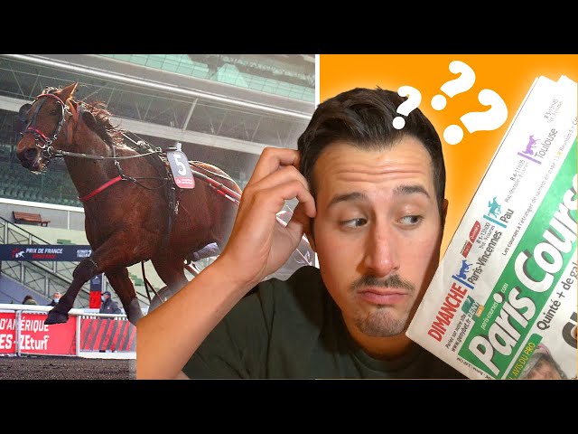 UNDERSTANDING TROT RACING: A Complete Beginner's Guide 🏇📚