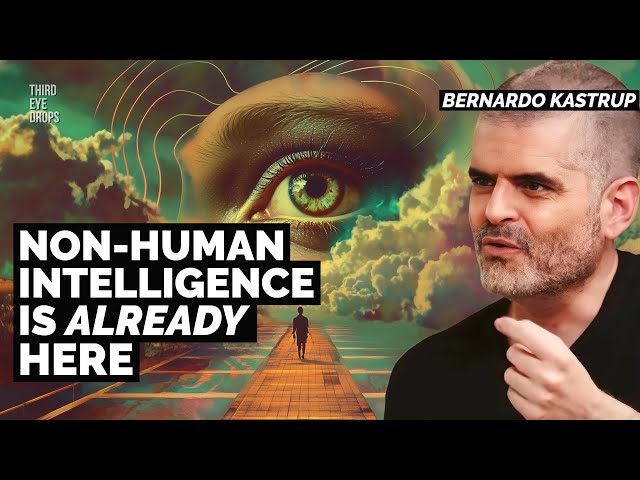 Consciousness, UFOs & Non-Human Intelligence | Bernardo Kastrup