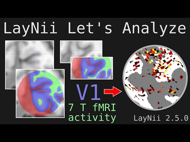 Let's Analyze E002 - LayNii layers and flattening fMRI activity in V1