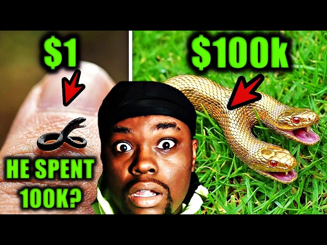 $1 Vs $100,000 Pet Snake ! | Which Snake  is Better ?
