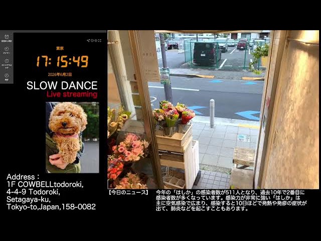 【Tue.06/02/2026 Livecamera at the florist】 スローダンス SLOWDANCE 等々力 尾山台 世田谷 Setagaya 東京 Tokyo 日本 Japan