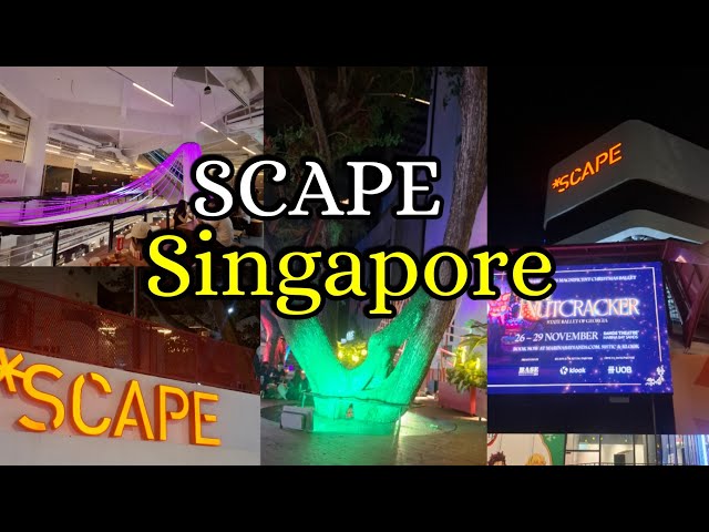 SCAPE Singapore at Night || Jovelyn Mirambel