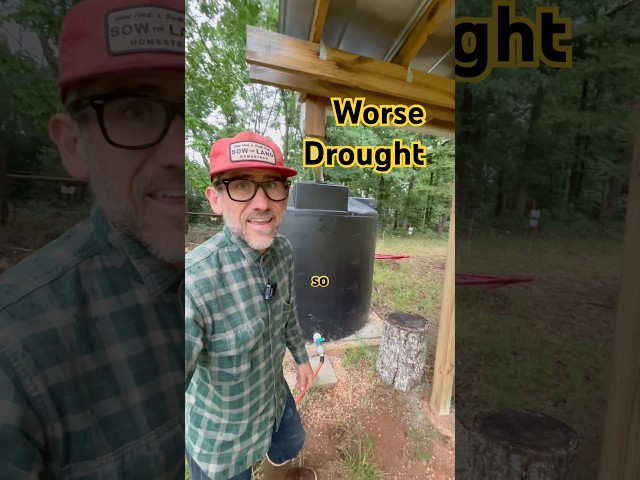 Worse Drought I Have Seen in 10 years