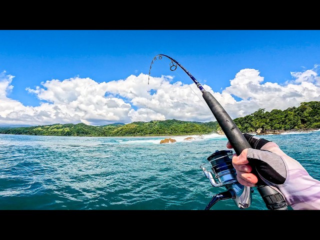 Fishing for Reef GIANTS on Uninhabited Jungle Coast (Catch & Cook)