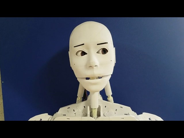 My Inmoov Build Day 44, Head & Neck Servo Testing
