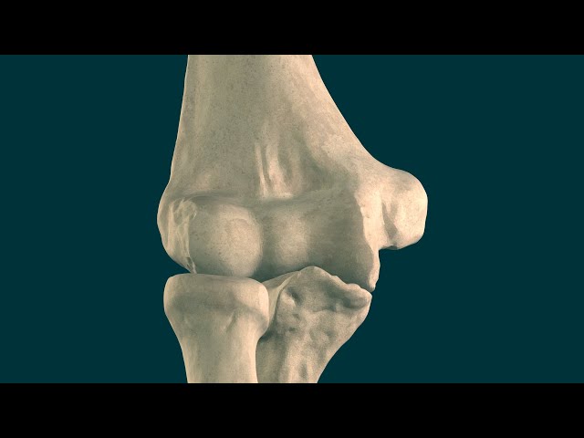 Elbow joint