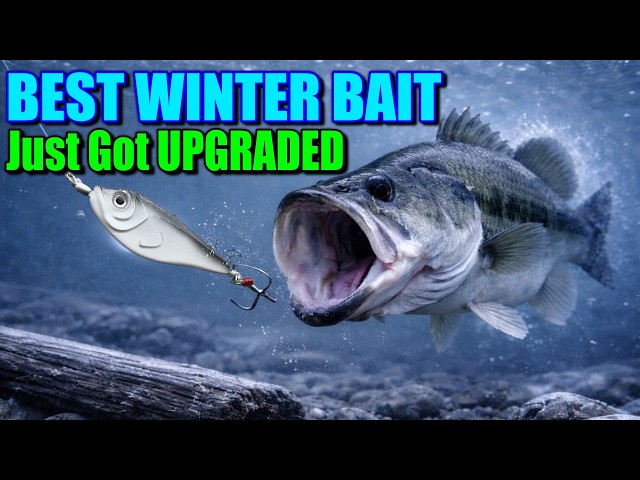 The Bait That Has Dominated Winter Bass Just Got UPGRADED