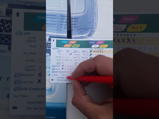 🌲🌲TUTTO HOW TO FILL OUT A PMU TICKET TO MAKE A MULTI🌲🌲