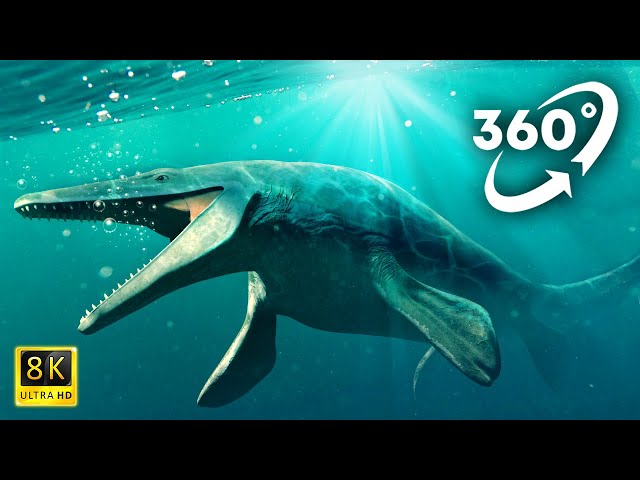 VR Jurassic Encyclopedia #26 - Mosasaurus dinosaur facts 360 Education