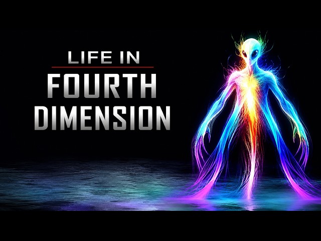 What If You've Been Seeing 4D This Whole Time?