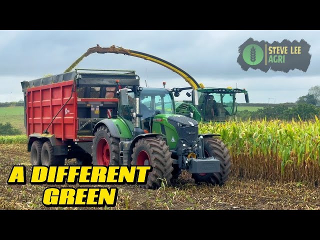 WE CALL IN THE NEW HOLLANDS AND FENDT 728 FOR MAIZE HARVEST