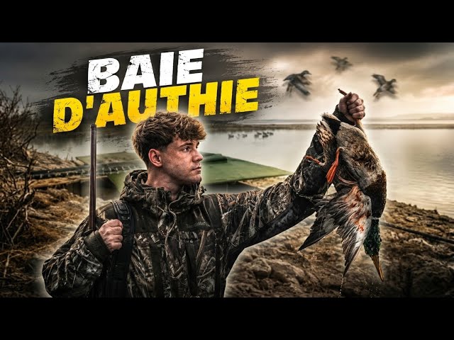 CHASSE À LA HUTTE : BAIE D'AUTHIE SUD