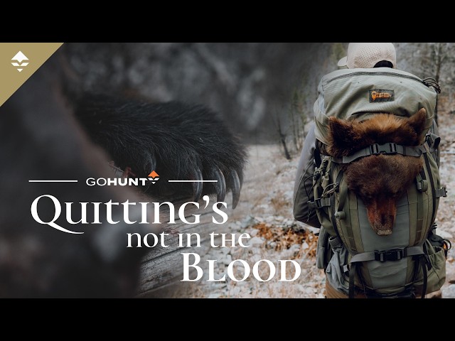 A Backcountry Spring Bear Hunt - Quitting's Not In the Blood