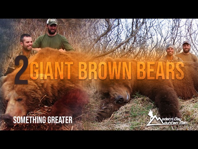 2 GIANT Alaska Brown Bear Hunting Adventures on the Alaska Peninsula  | Something Greater