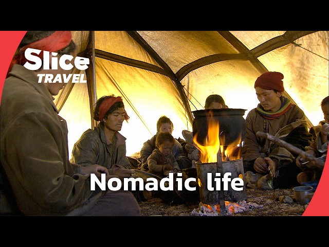 The last nomads of the Himalayas | SLICE TRAVEL | FULL DOC