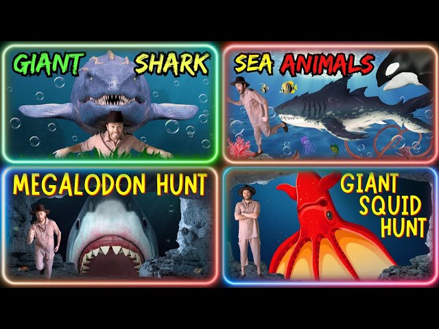 Explorer Riley Ocean Adventure Compilation | Interactive Stories for Children | Kids Stories